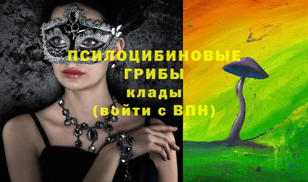 трава Беломорск