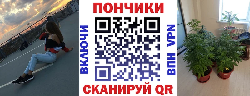 что такое   даркнет клад  Бошки Шишки индика  Нижняя Салда 
